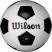 Denis Wilson