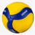 Volleyballine